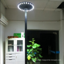 Round shape top CE Solar yard light for outdoor garden lighting